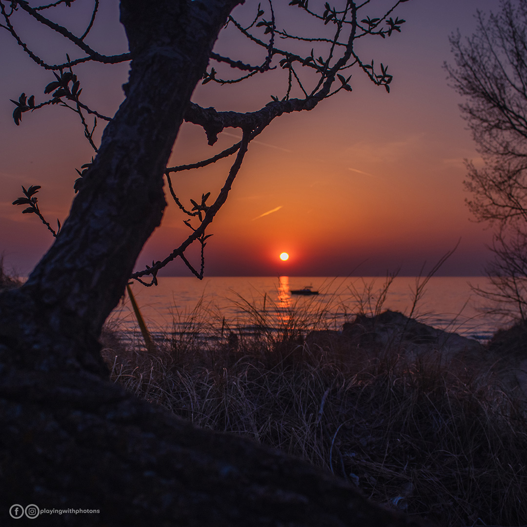 Portraits Without Faces